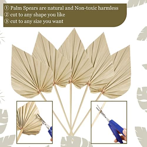 Cenkaiyang 20 Pcs Boho Dried Palm Leaf Spears with Stem