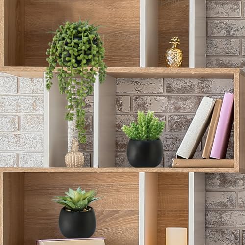 Winlyn Set of 3 Artificial Succulents in Black Planters