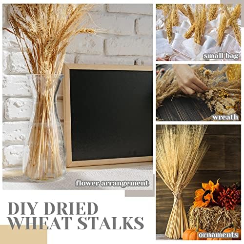 Geosar Dried Wheat Stalks for Decor 16 Inch Bundle