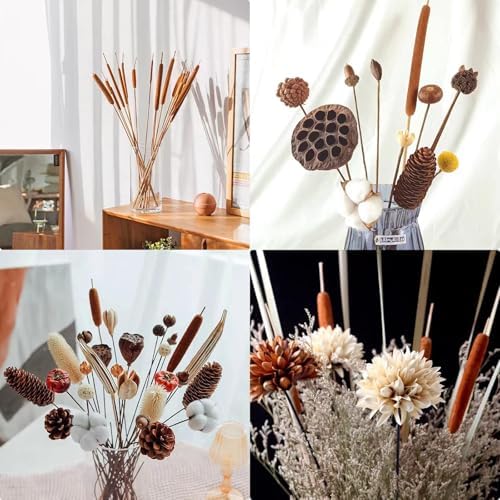 Dried Natural Cattails 20PCS Jumbo for Decor