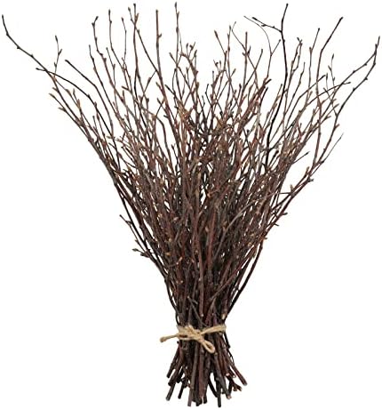 Uieke 50PCS Natural Birch Twigs Decor 17 Inch
