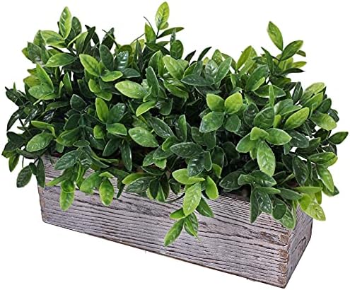 Artificial Eucalyptus Plant in Rustic Wooden Planter Box