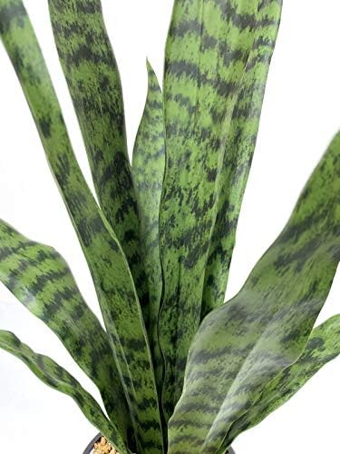 Bird Fiy Artificial Snake Plant 225 Inch Faux Agave