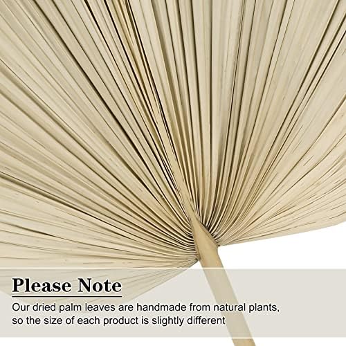10pcs Large Dried Palm Leaves Boho DecorVase Wedding Backdrop