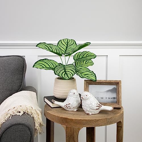 Northlight 13 Inch Artificial Prayer Plant in Beige Ceramic Pot