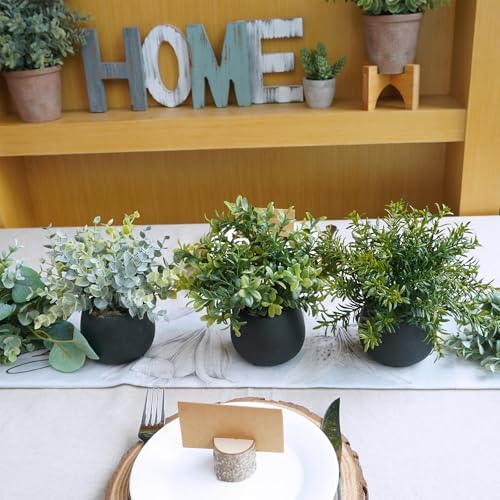 Winlyn Set of 3 Small Artificial Plants in Black Concrete Pots