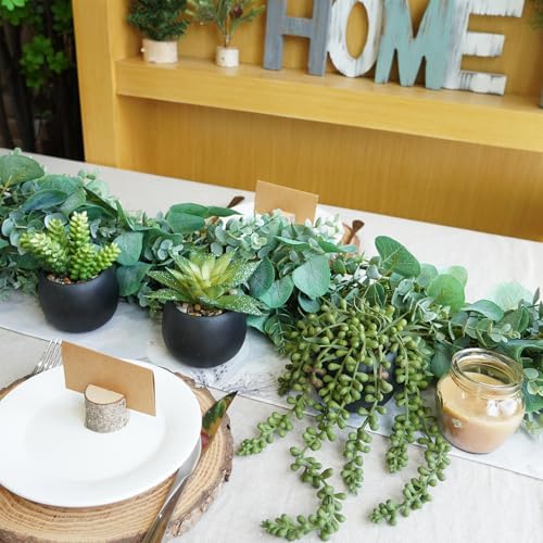 Winlyn Set of 3 Artificial Succulents in Black Planters