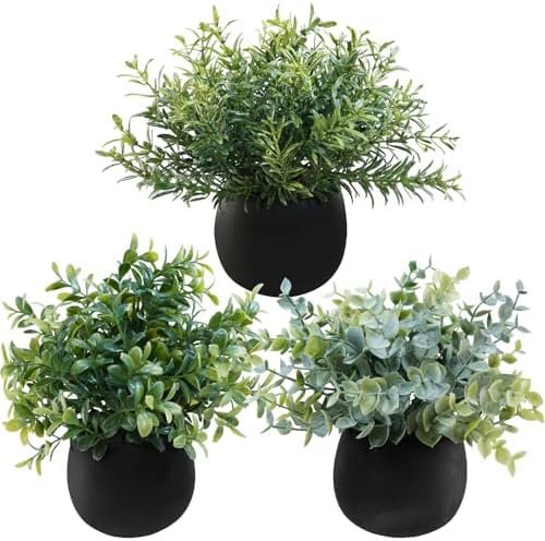 Winlyn Set of 3 Small Artificial Plants in Black Concrete Pots
