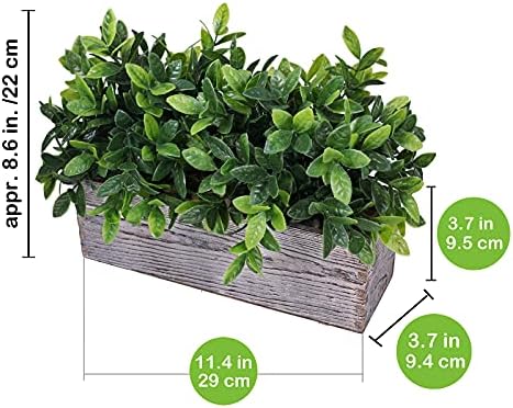 Artificial Eucalyptus Plant in Rustic Wooden Planter Box