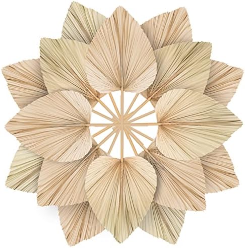 10pcs Large Dried Palm Leaves Boho DecorVase Wedding Backdrop
