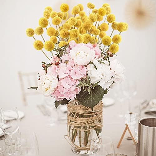 Uieke 30 Pcs Yellow Dried Billy Balls Flowers Bouquet
