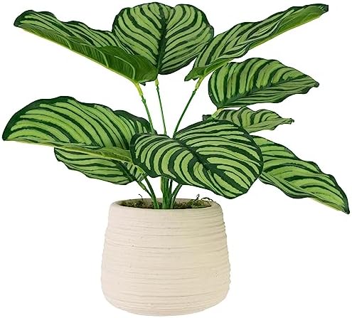 Northlight 13 Inch Artificial Prayer Plant in Beige Ceramic Pot