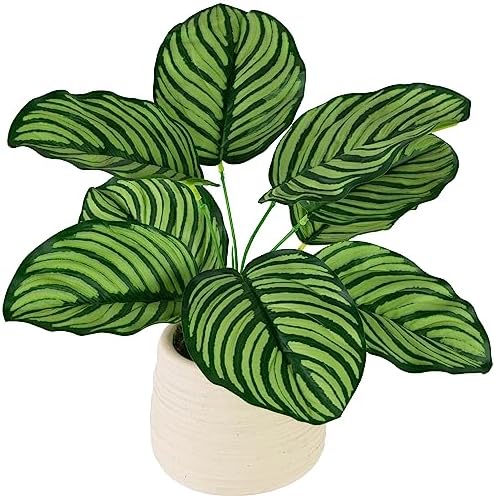 Northlight 13 Inch Artificial Prayer Plant in Beige Ceramic Pot
