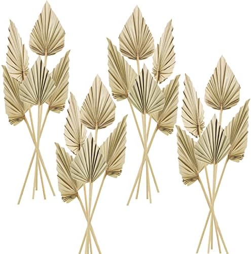 Cenkaiyang 20 Pcs Boho Dried Palm Leaf Spears with Stem