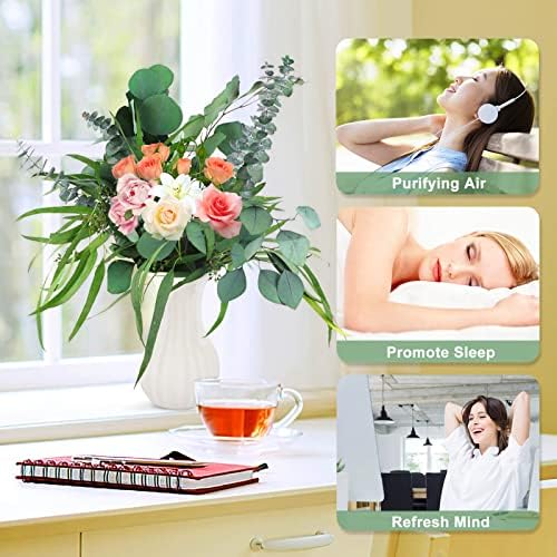 Glicrili 12Pcs Mixed Real Dried Eucalyptus Leaves Stems