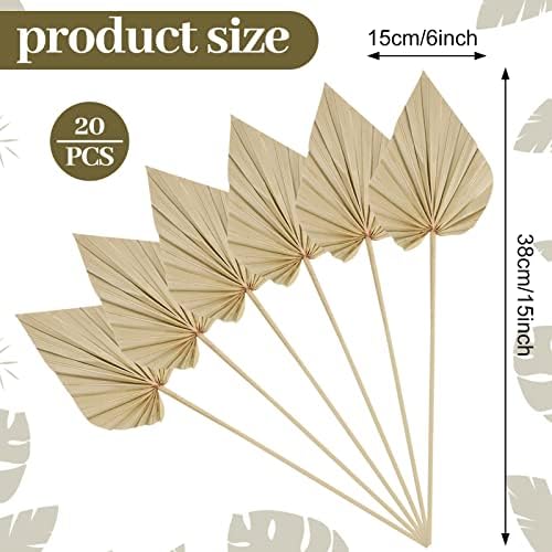Cenkaiyang 20 Pcs Boho Dried Palm Leaf Spears with Stem