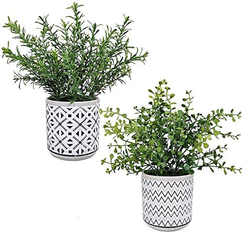 Winlyn 2 Pack Artificial Green Boxwood Rosemary Plants in Concrete Pots