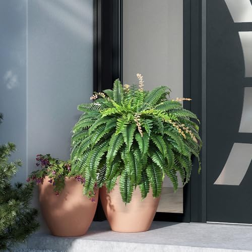 49 Inch Artificial Ferns Set of 2 128 Leaves Each UV Resistant