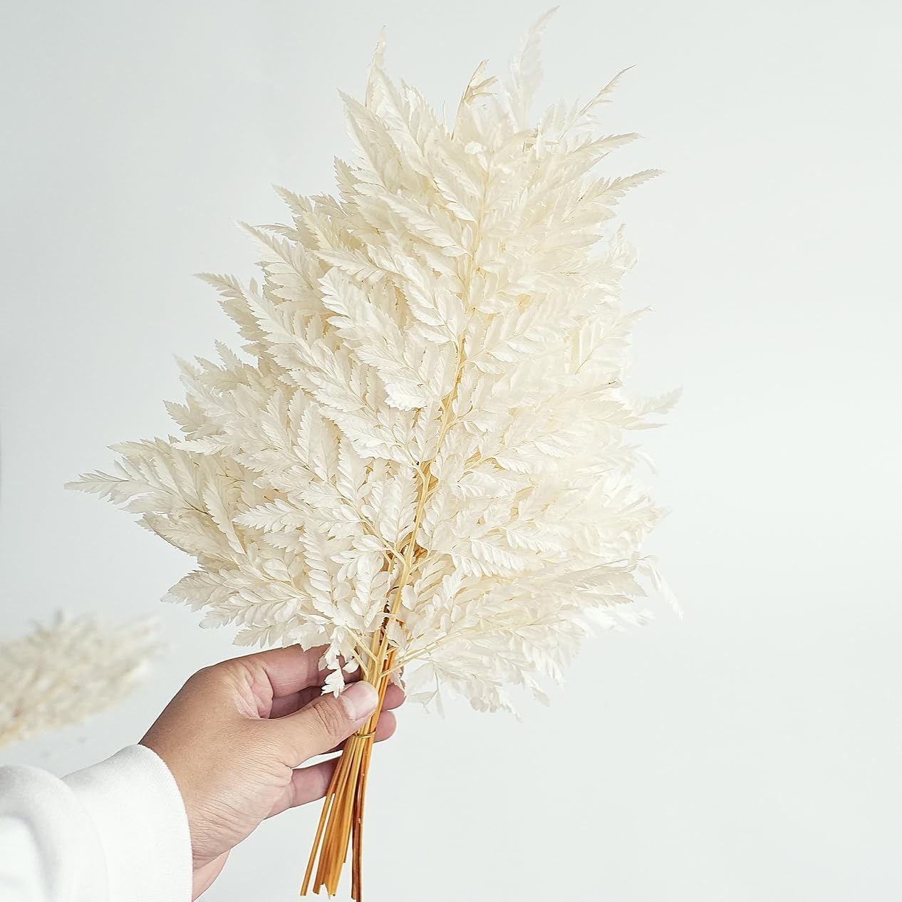 10PCS Exquisite Dried Leaves and Floral Decor Set