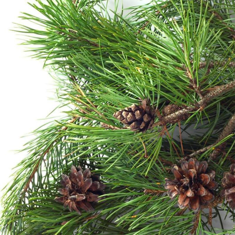 QIUPAI Decorative Pine Tree 1mx08m Artificial Tree