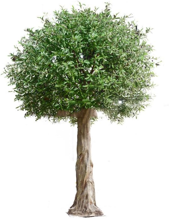 Olive Artificial Tree 1mx08m for Living Room Decor