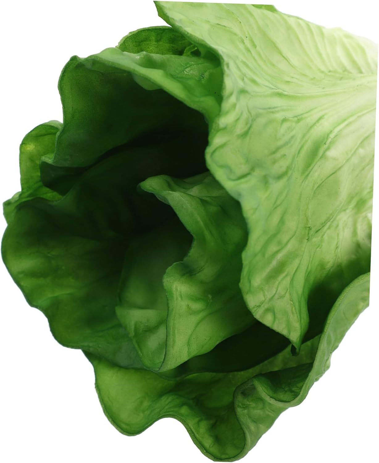 Yardenfun Realistic Lettuce Model for Home Restaurant and Photography