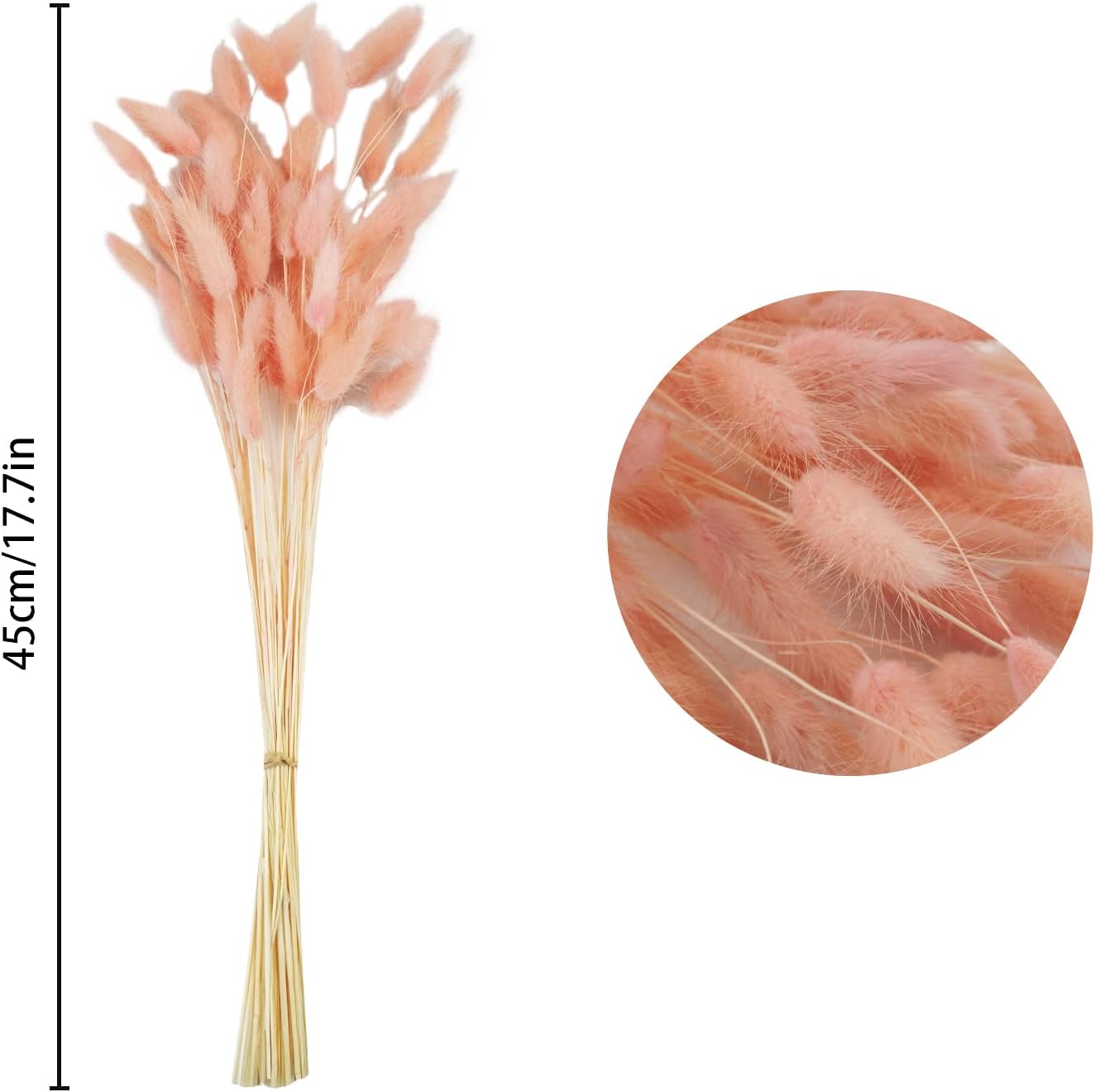 Uieke 17 Inch Natural Bunny Tail Dried Flowers 50 Pcs