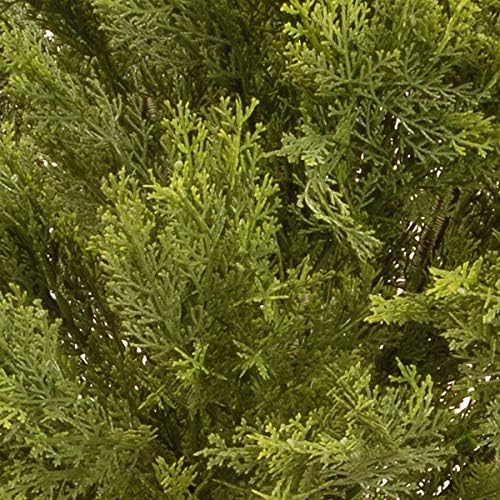 National Tree 24 Inch Artificial Arborvitae with 35 Clear Lights