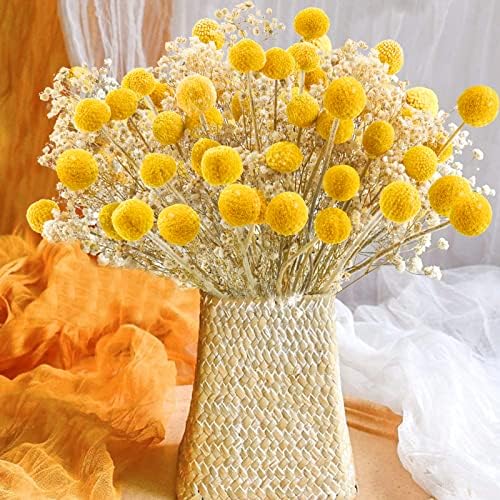 Uieke 30 Pcs Yellow Dried Billy Balls Flowers Bouquet