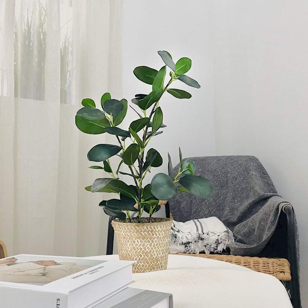 SAROSORA Artificial Ficus Tree with Weaved Pot 20 Inch Green