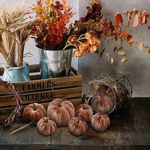 Woration 8pcs Velvet Pumpkin Fall Decor Set