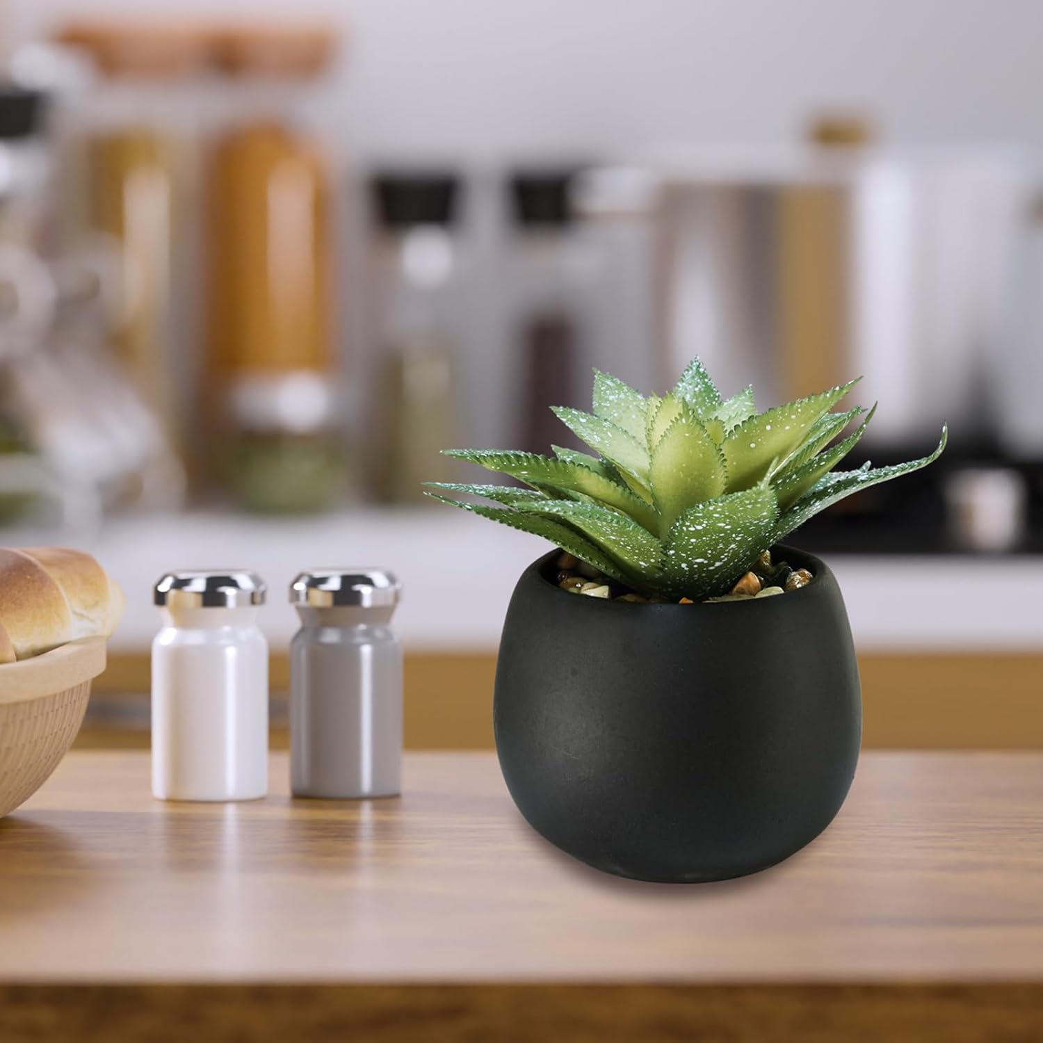 Winlyn Set of 3 Artificial Succulents in Black Planters