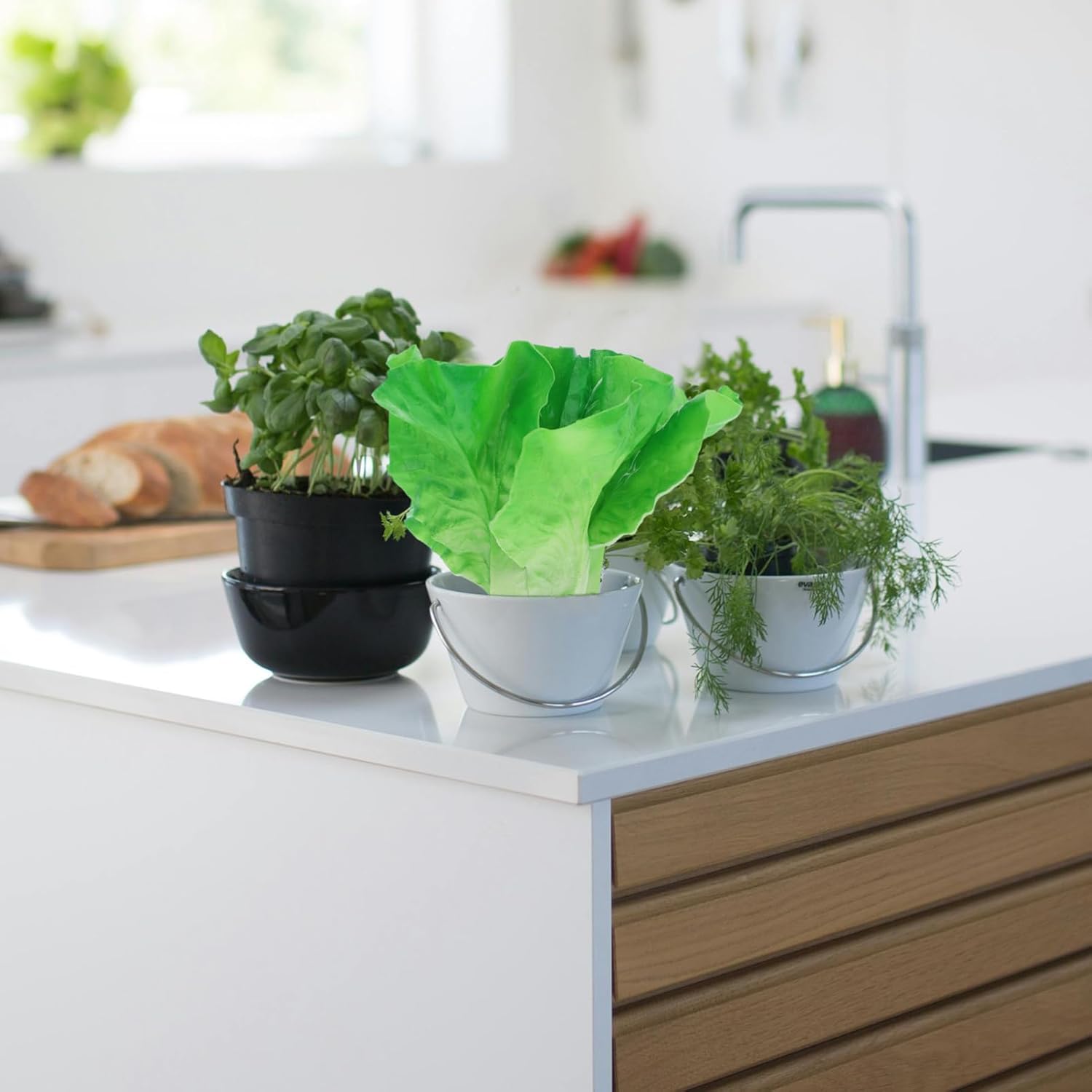PRETYZOOM Realistic Artificial Lettuce Leaves Salad Decor