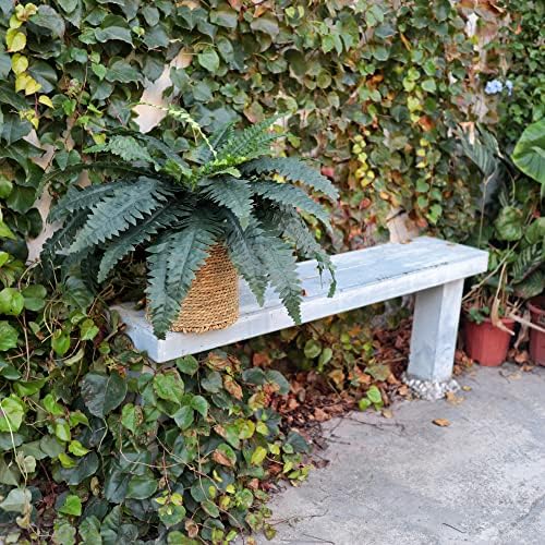 Artificial Ferns for Outdoors and Indoors 33 Spread