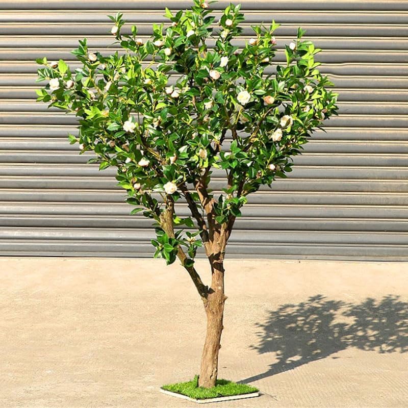 Artificial Camellia Tree 1mx08m Realistic Fake Plant Decor