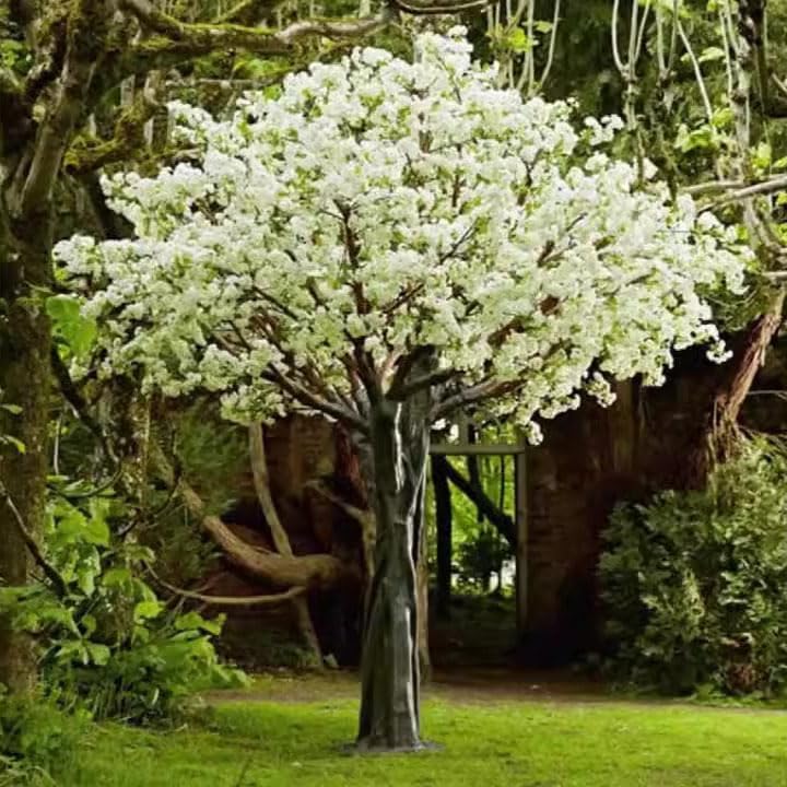 QIUPAI Artificial Cherry Blossom Tree 1x09m White Wishing Tree Decor