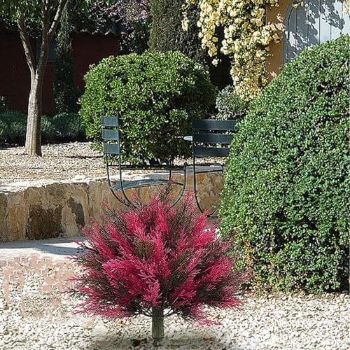 22 Inch Artificial Cedar Topiary Ball Trees Purple Fade Resistant
