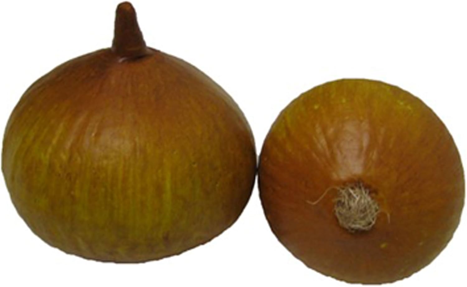 Bluebird Artificial Natural Onion Box of 12
