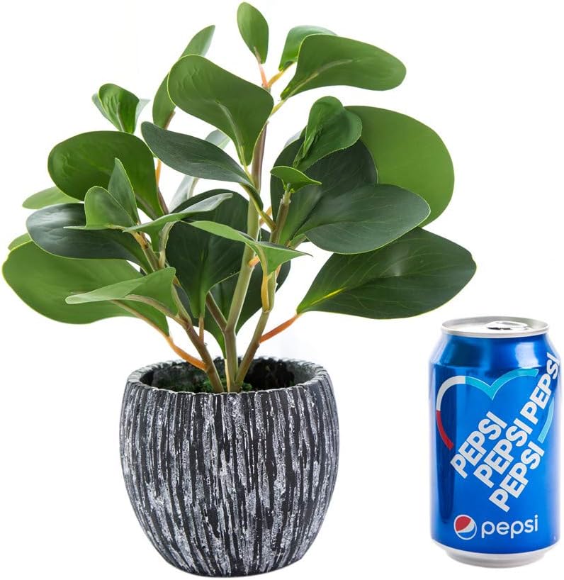 AlphaAcc Artificial Plants Fiddle Leaf Fig with Cement Planter