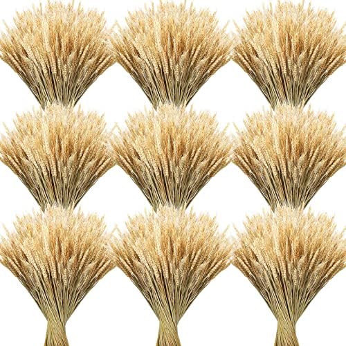 Geosar Dried Wheat Stalks for Decor 16 Inch Bundle