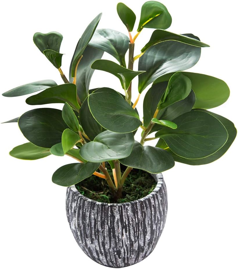 AlphaAcc Artificial Plants Fiddle Leaf Fig with Cement Planter