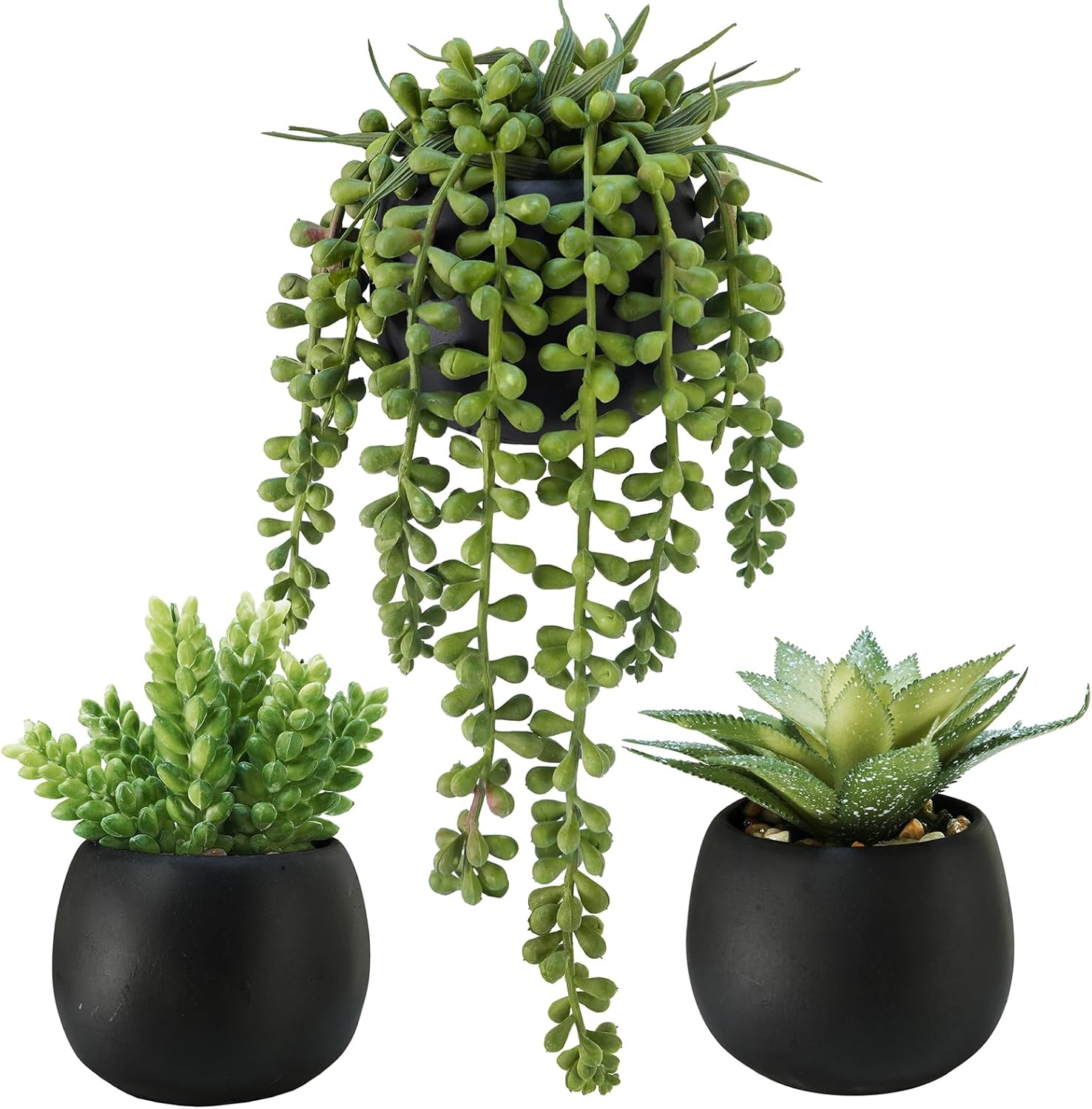 Winlyn Set of 3 Artificial Succulents in Black Planters