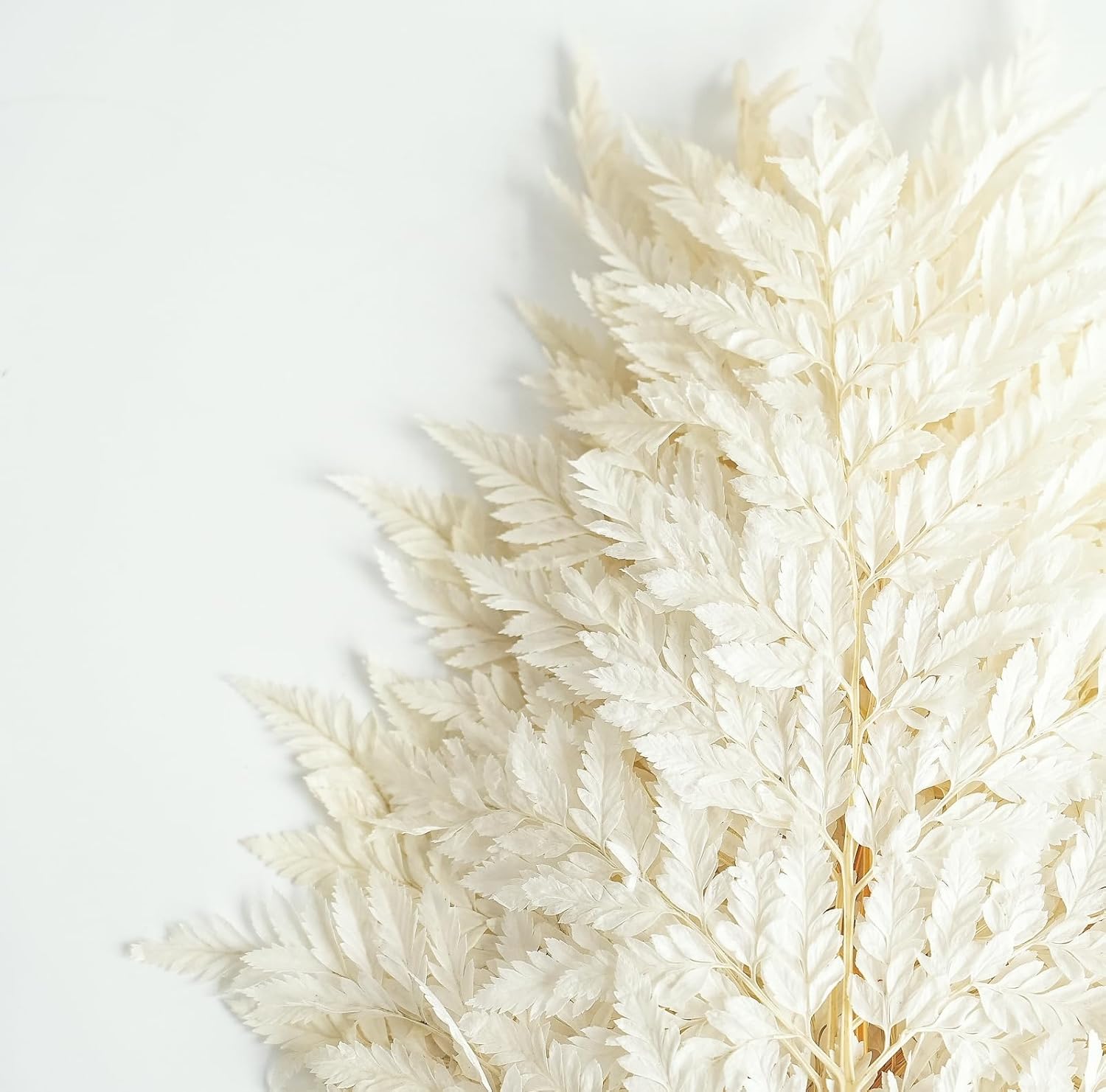 10PCS Exquisite Dried Leaves and Floral Decor Set