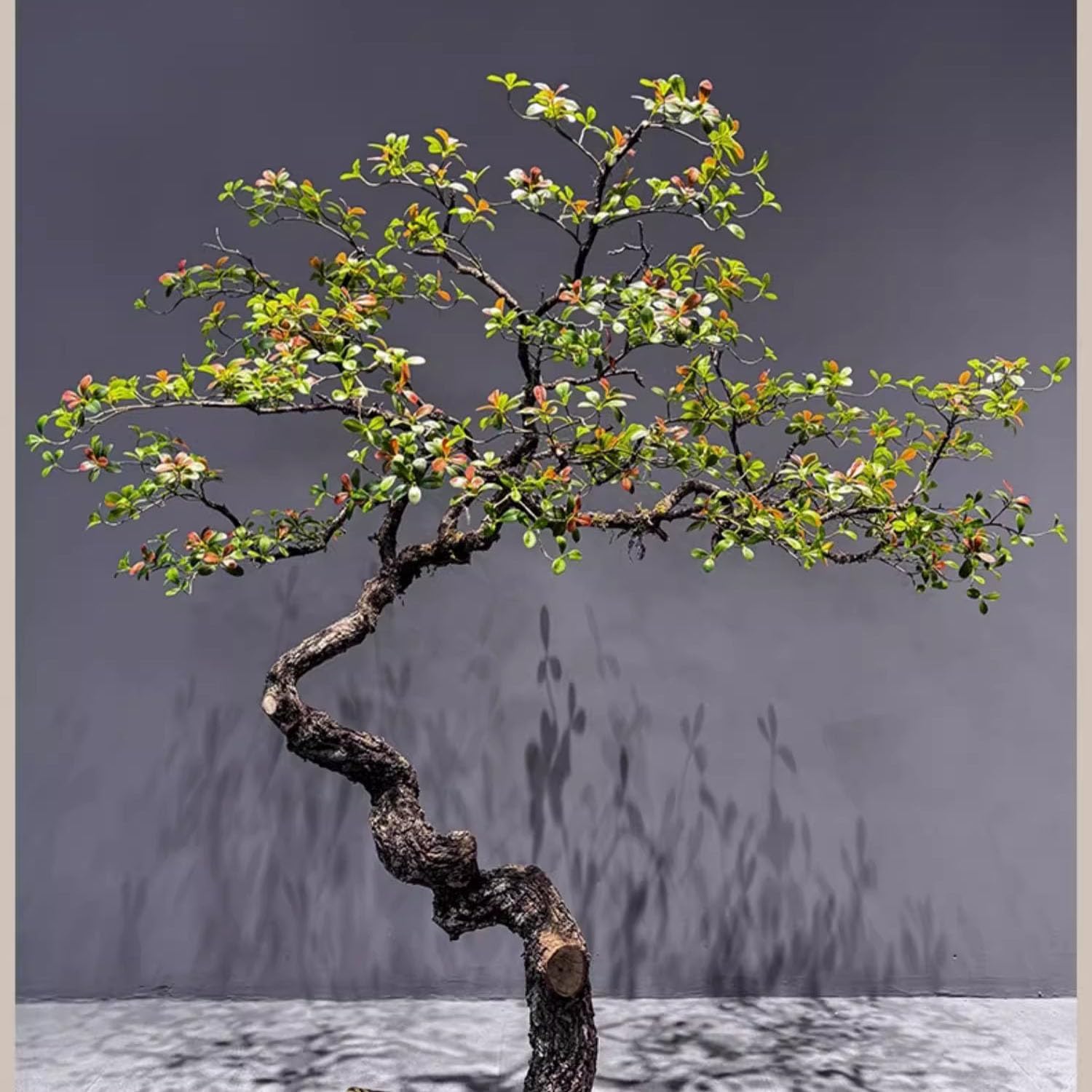 TBJEN Simulated Island Spring Flower Tree 1mx08m