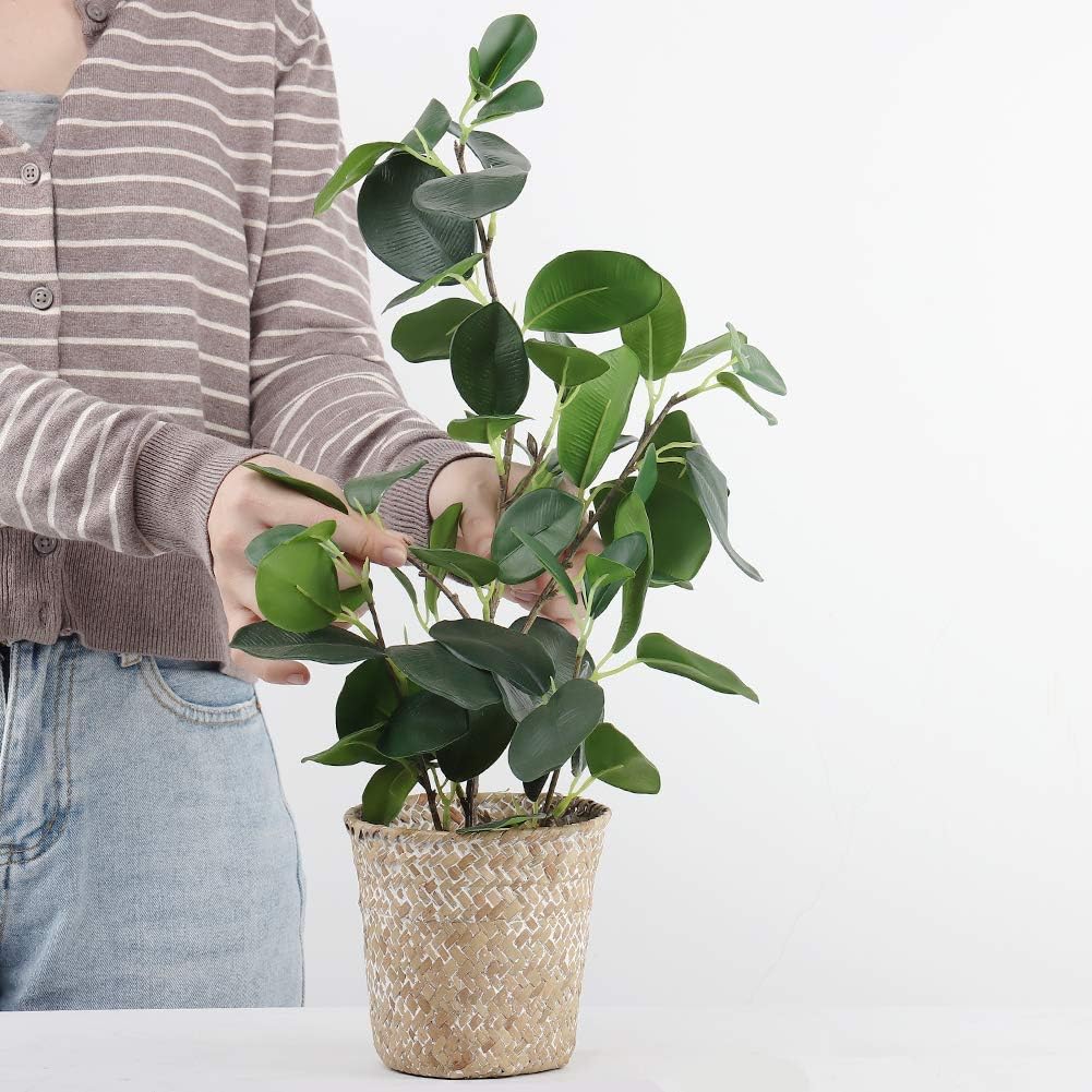 SAROSORA Artificial Ficus Tree with Weaved Pot 20 Inch Green