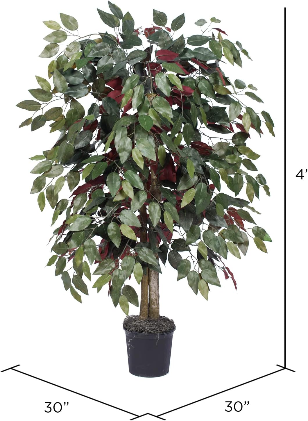 Vickerman 4 Foot Artificial Capensia Bush in Black Pot