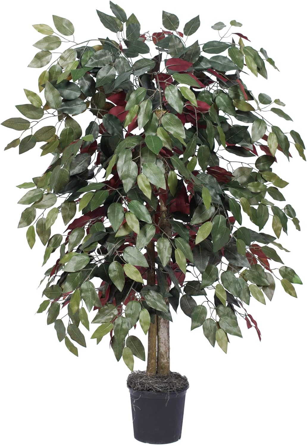 Vickerman 4 Foot Artificial Capensia Bush in Black Pot