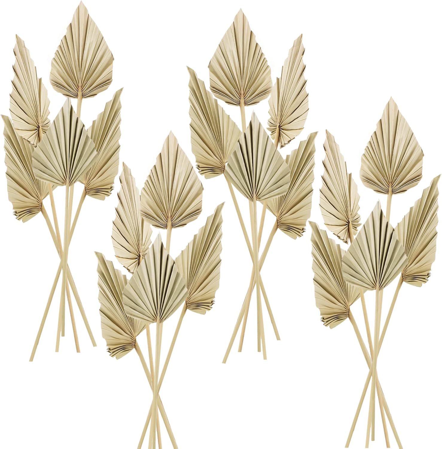 Cenkaiyang 20 Pcs Boho Dried Palm Leaf Spears with Stem