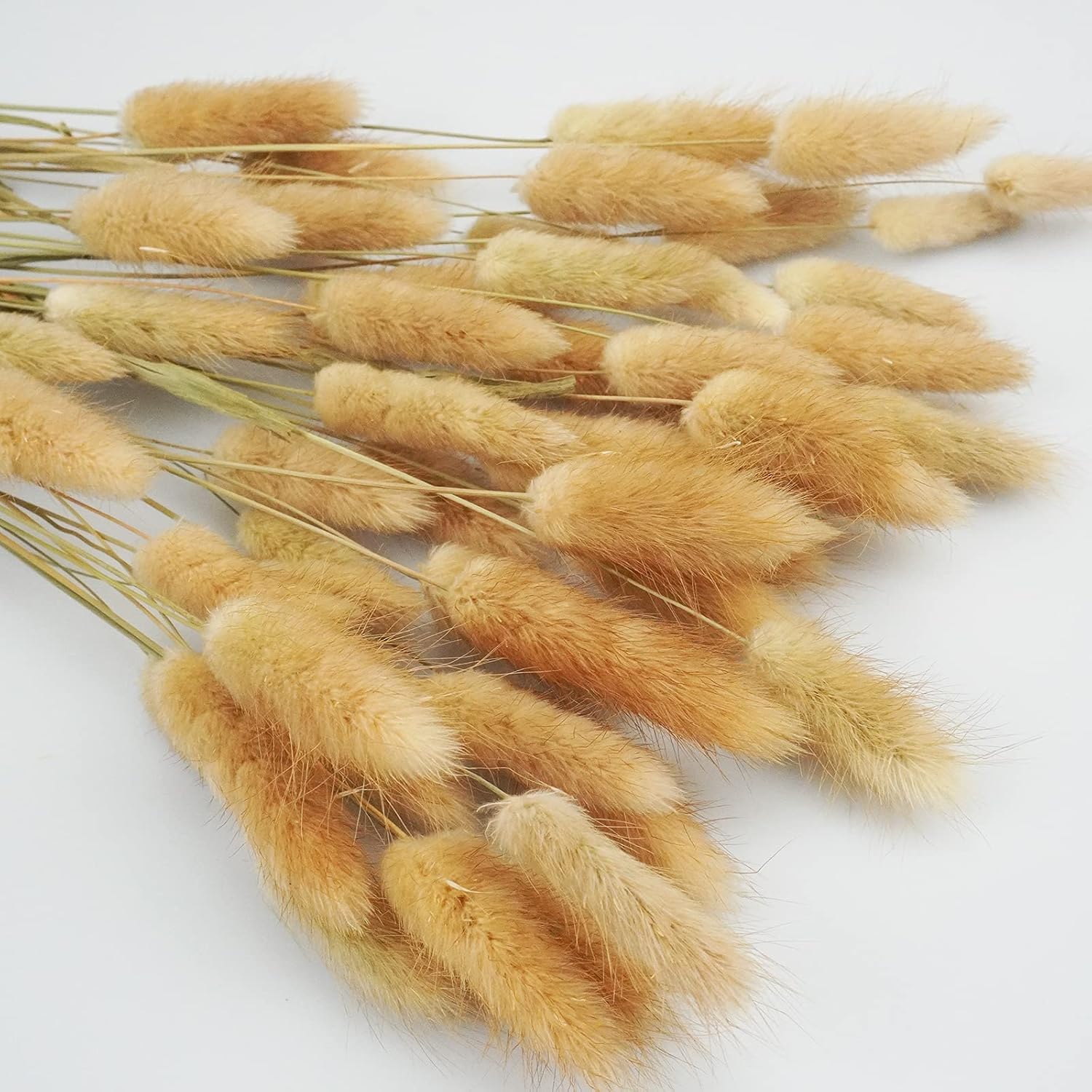 Uieke 17 Inch Natural Bunny Tails Dried Flowers 50 Pcs