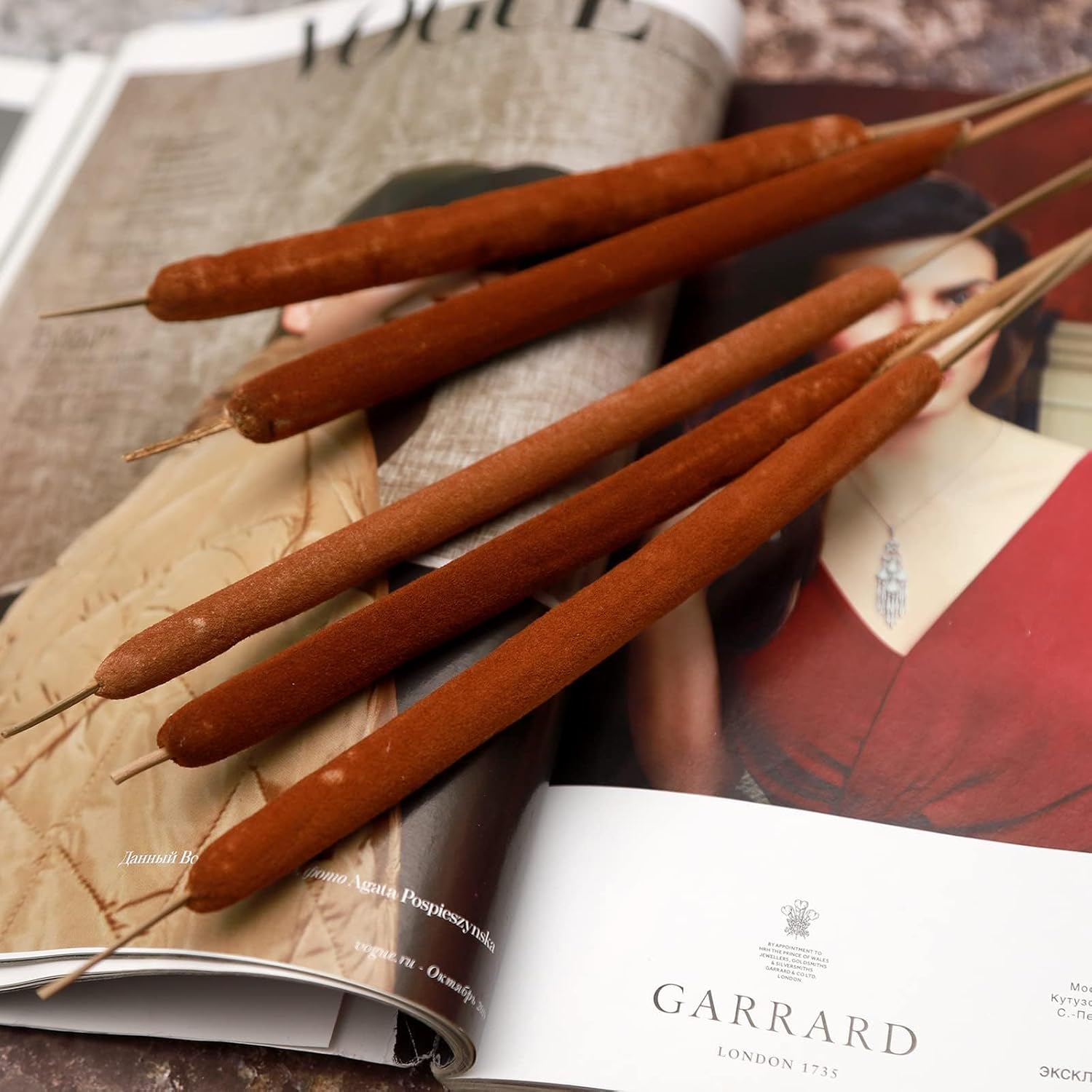 Dried Natural Cattails 20PCS Jumbo for Decor